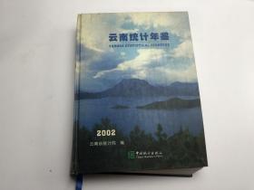 云南统计年鉴2002　