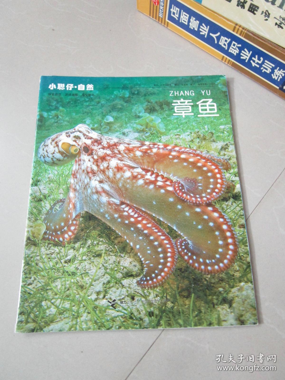 小聪仔自然:章鱼