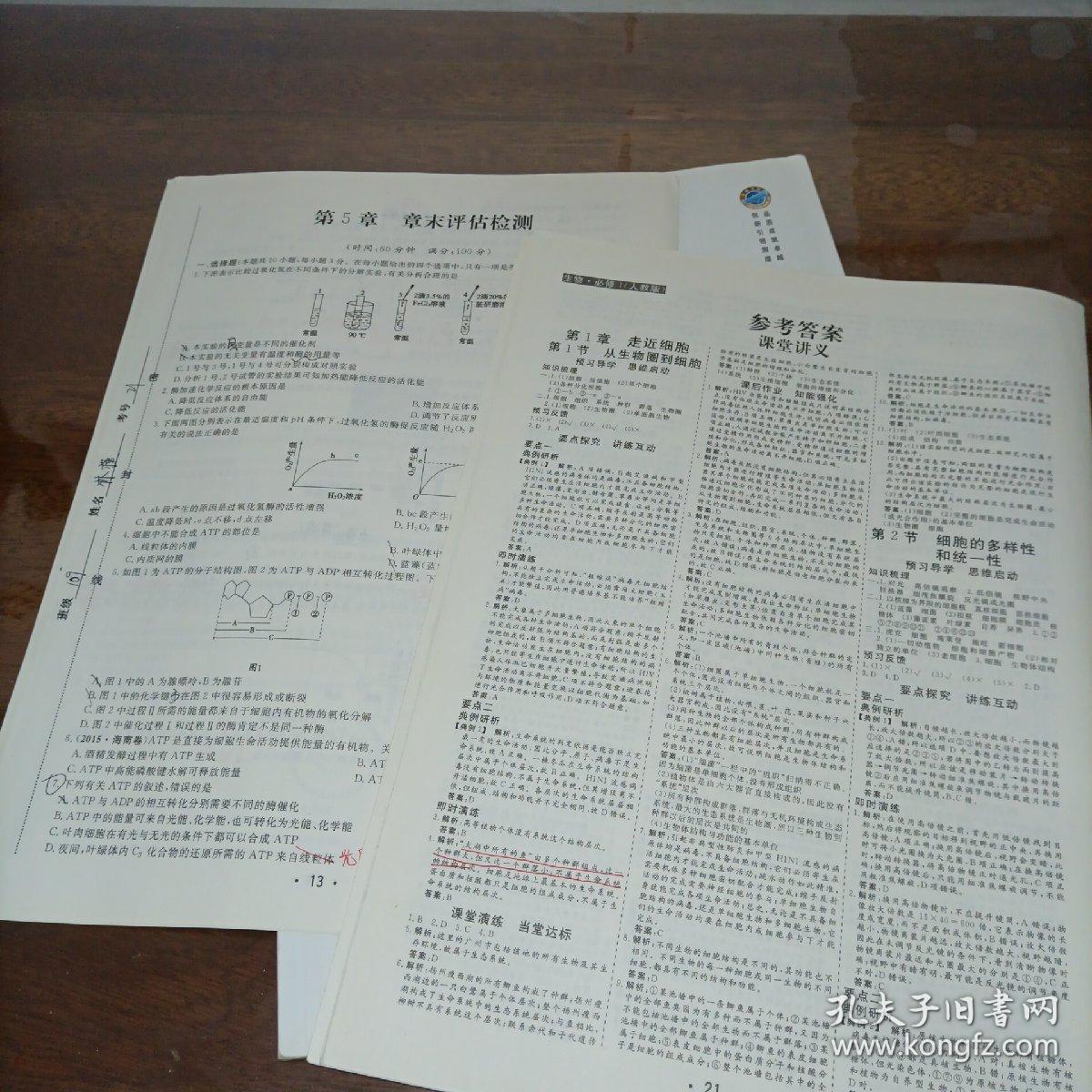 金版学案新课标高中同步辅导与检测 生物必修1(人教版)学生用书【含附