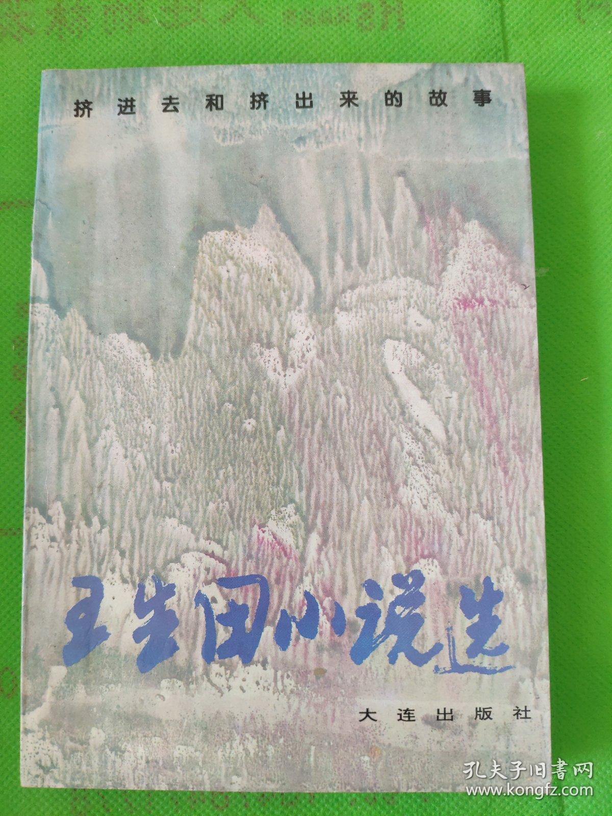 王生田小说选 有黄斑 孔夫子旧书网