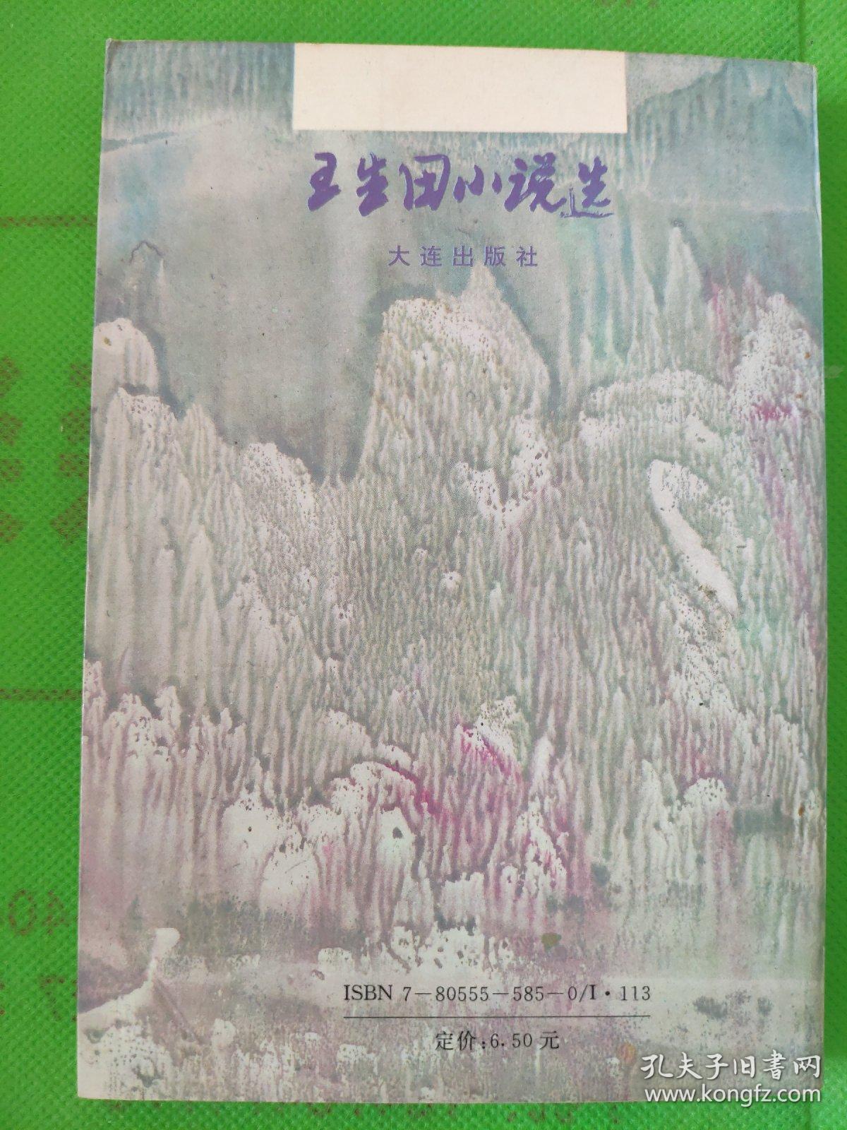 王生田小说选 有黄斑 孔夫子旧书网