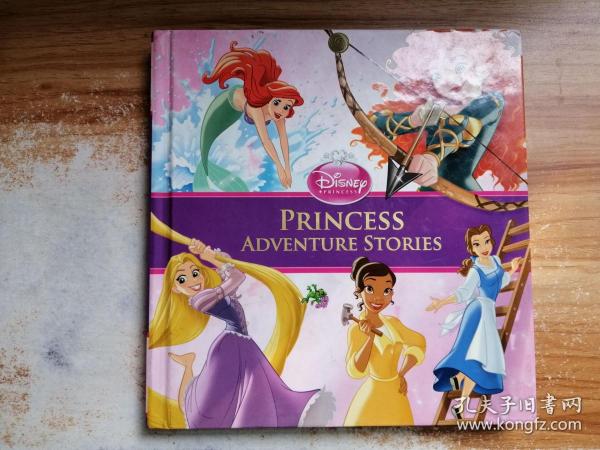 princess  adventure stories