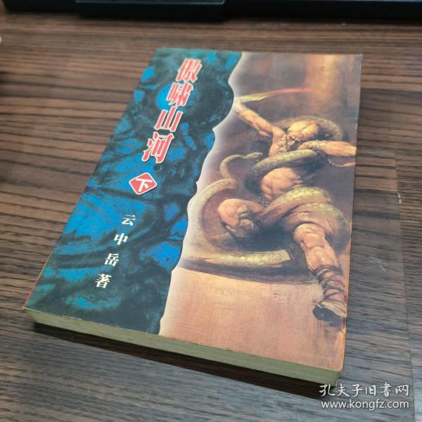 孔夫子旧书网 热门搜索专题 傲啸山河 作者:云中岳著 出版社:百花文艺