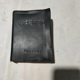 人體解剖圖譜