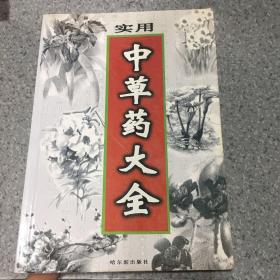 實用中草藥大全