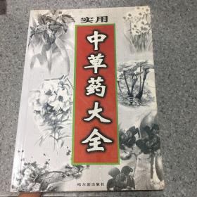 实用中草药大全