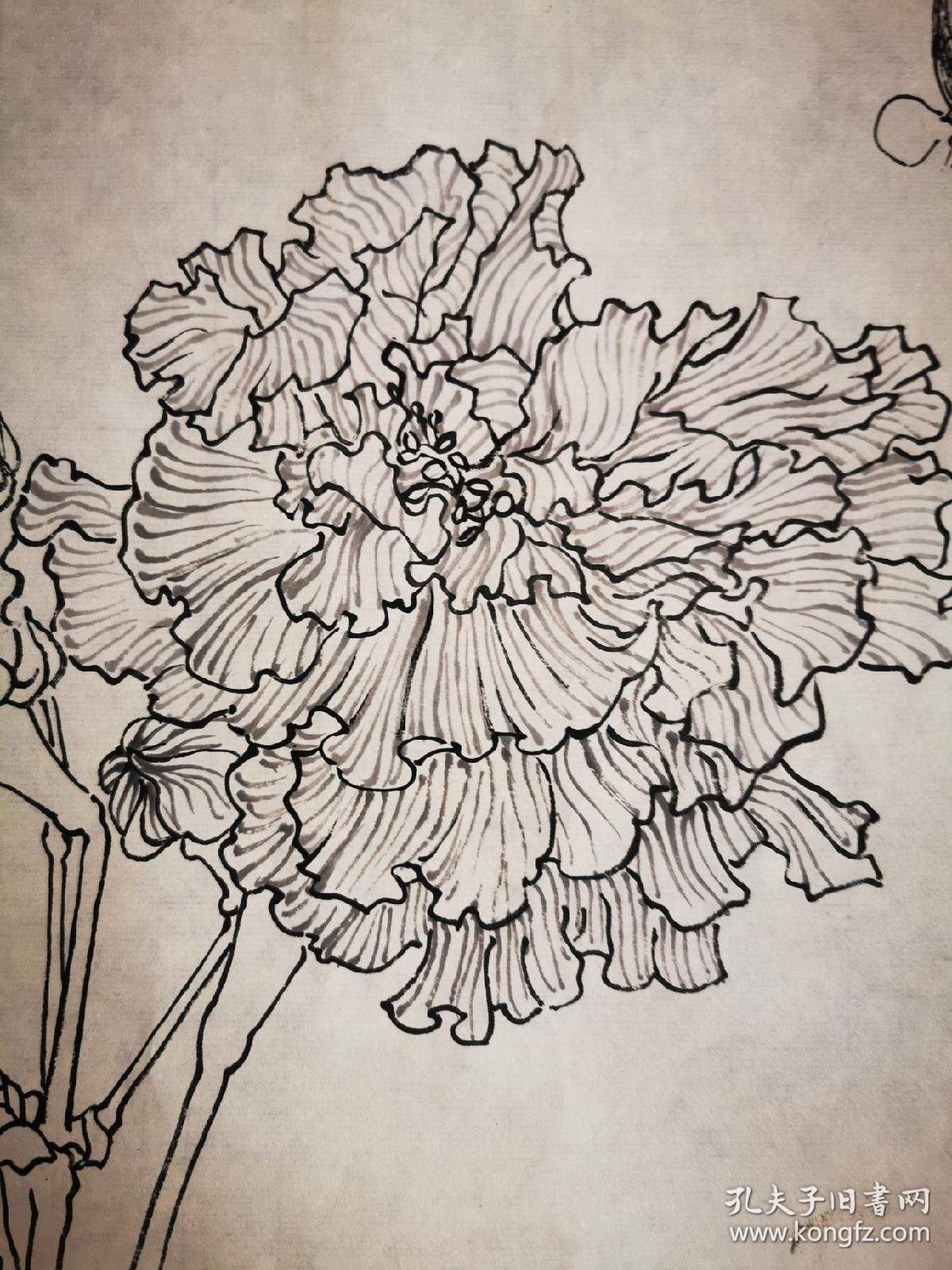 陈子奋白描花鸟6948cm画心流光溢彩