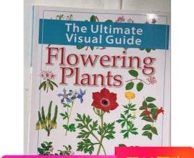 花卉植物绘画全彩 The Ultimate Visual Guide Flowering Plants