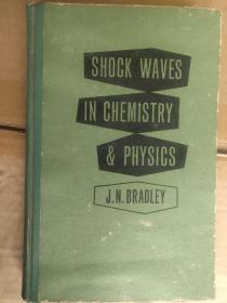 SHOCK WAVES IN CHEMISTRY & PHYSICS  <化学/物理学中的骇波/波击波> 精装 小16开
