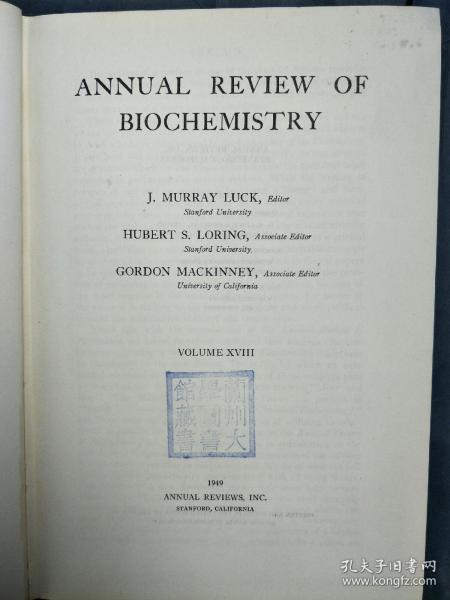 407a21badcd38b82_n.jpg
