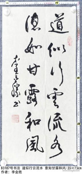 b3187号书法道似行云流水意如甘露和风3573cm李金胜1946年12月生安徽