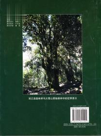 茶祖居住过的地方 云南双江 茶类绝版书籍詹英佩著正版识茶畅销书