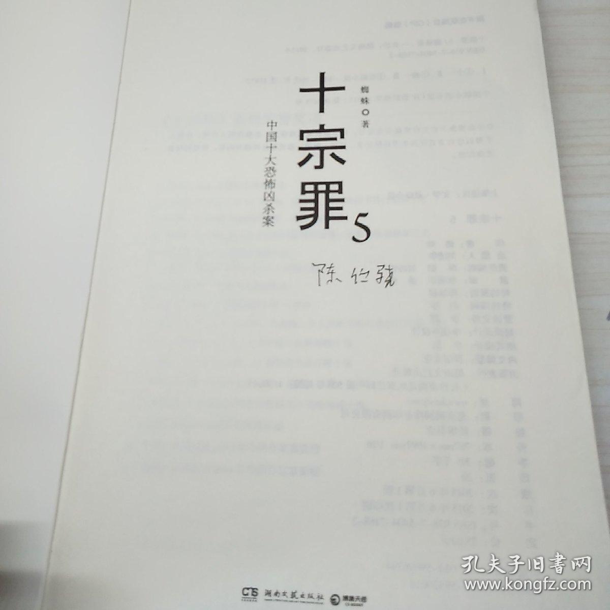 十宗罪5:中国十大凶杀案