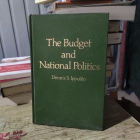 The Budget and National Politics