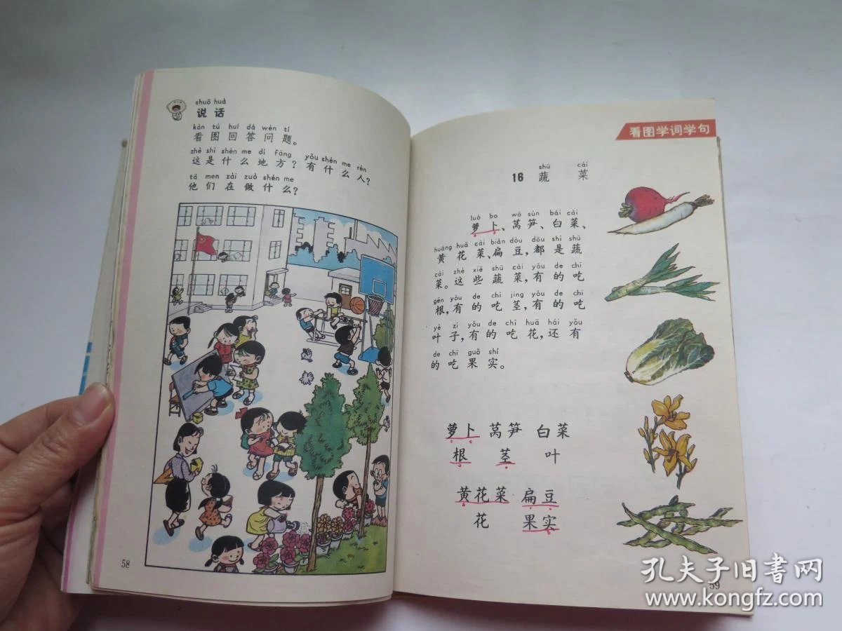 九年义务教育六年制小学教科书 语文 第二册 (精装本)
