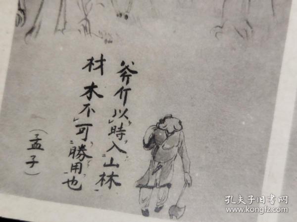 什么木什么林的成语_成语故事图片(2)