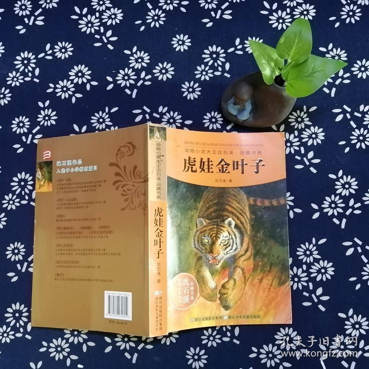 动物小说大王沈石溪品藏书系:虎娃金叶子