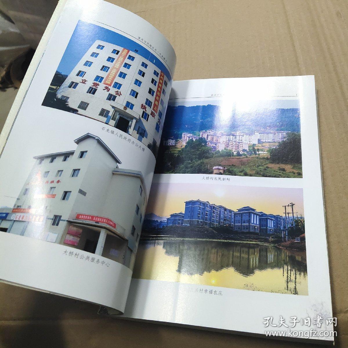 重庆市巴南区志石龙镇志19492011