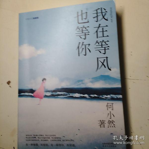 我在等风也等你
