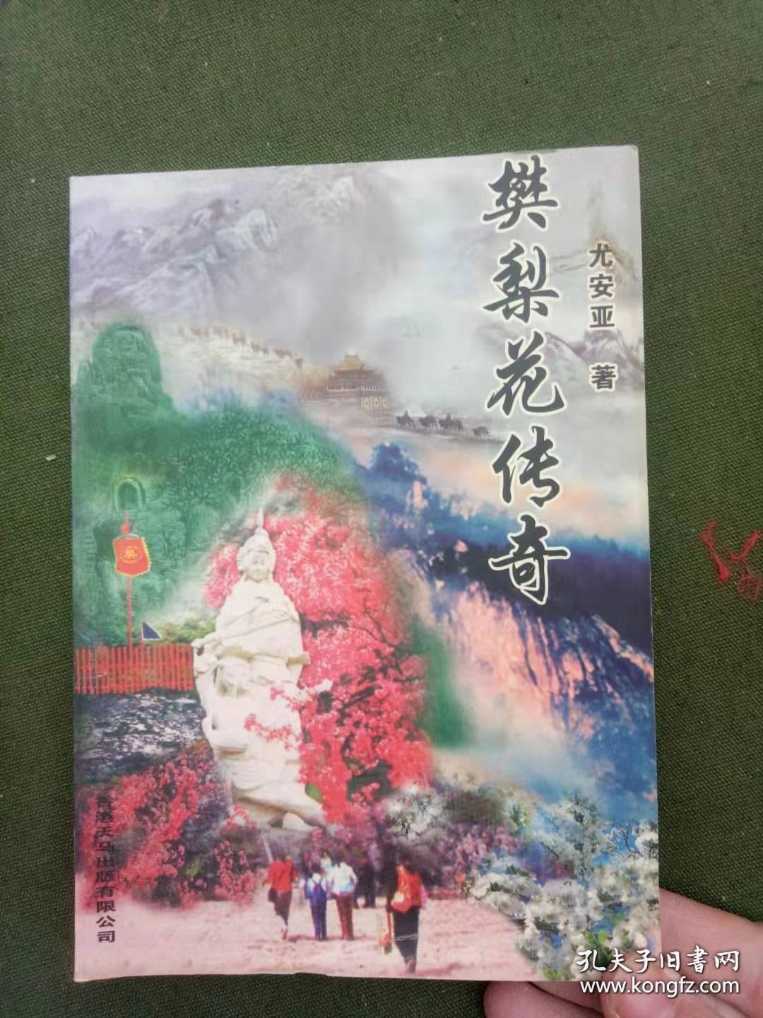 樊梨花传奇
