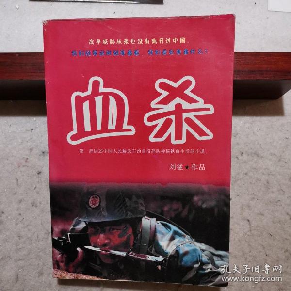 血杀(第一部讲述中国人民 解放军预备役部队神秘铁血生活 的 小说)