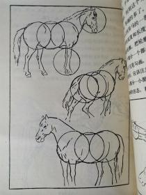 怎样画马