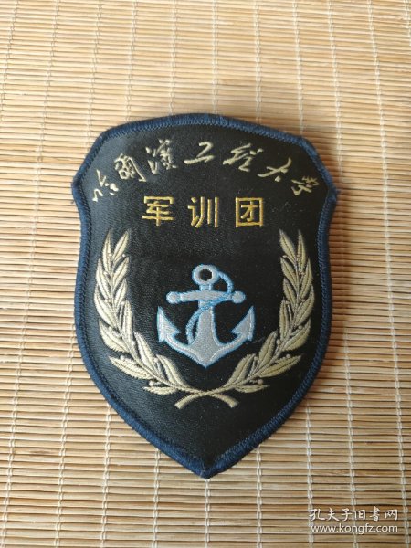 「作废的 哈 工程大学军训团臂章