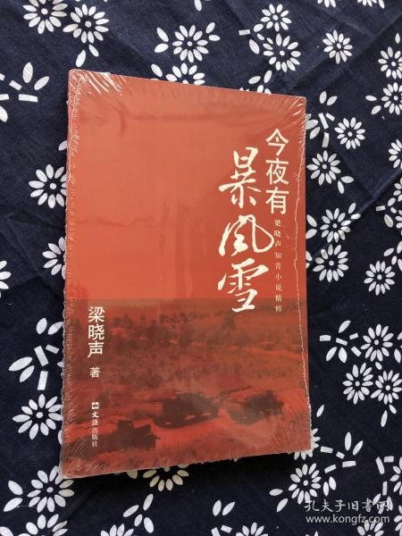 今夜有暴风雪