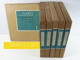 写真集植物（1961年      16开精装     本编6册+1册索引      附函7册全）