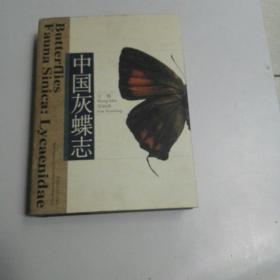 中国灰蝶志