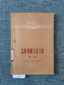 怎样巩固人民公社 第一辑
