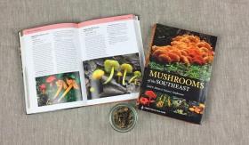Mushrooms of the Southeast 美国东南部蘑菇图鉴