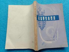 家畜寄生虫图谱 邱汉辉编 江苏科学技术出版社1983年1版1印