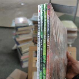 感动全球的摄影狂想曲系列