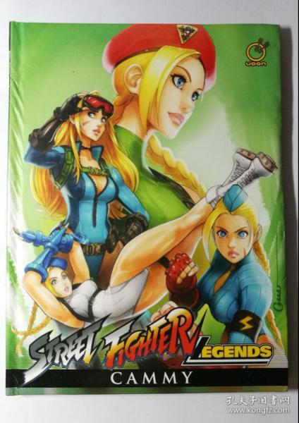 街头霸王嘉米传奇 street fighter