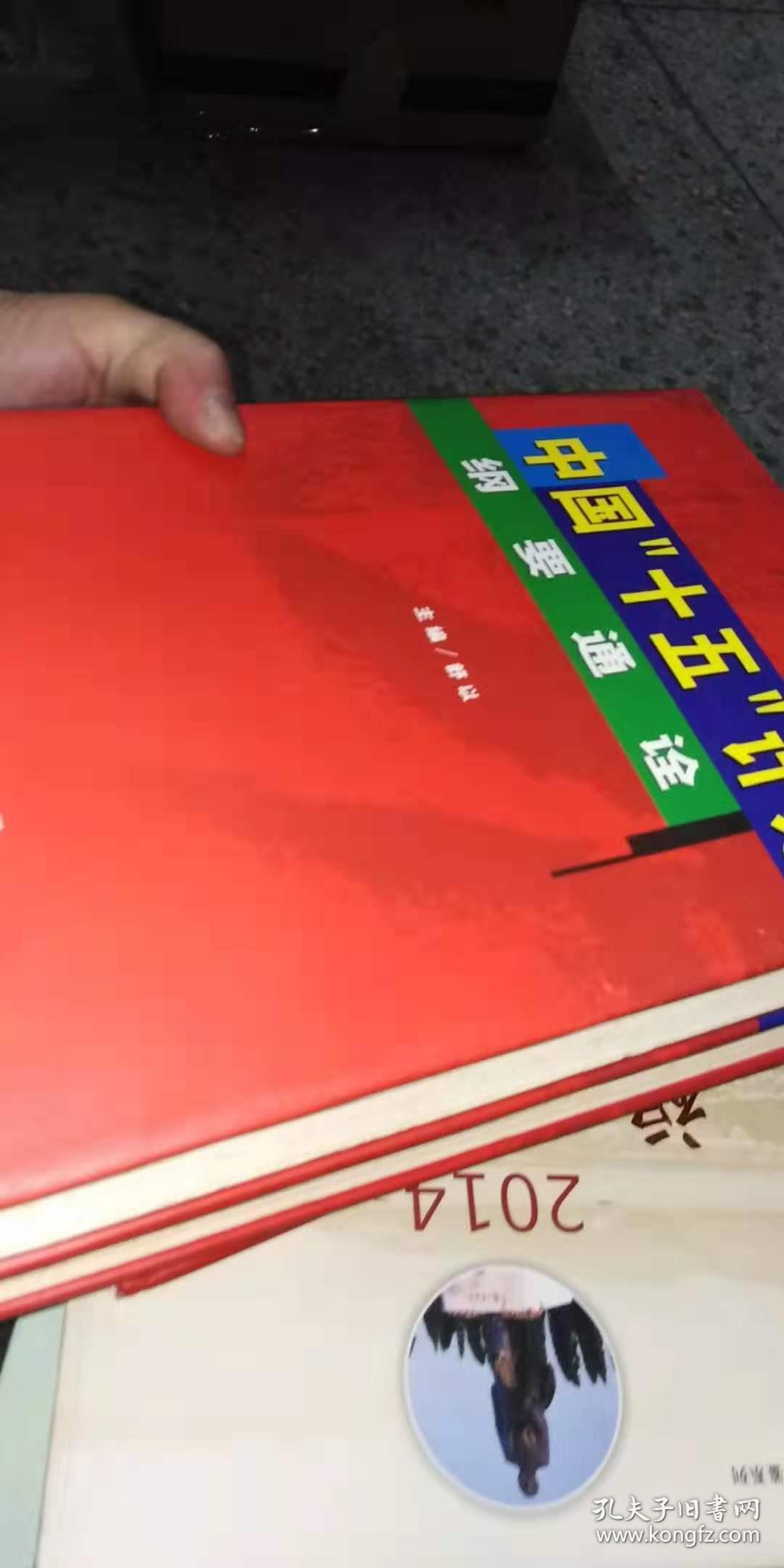 中国"十五"计划纲要通诠