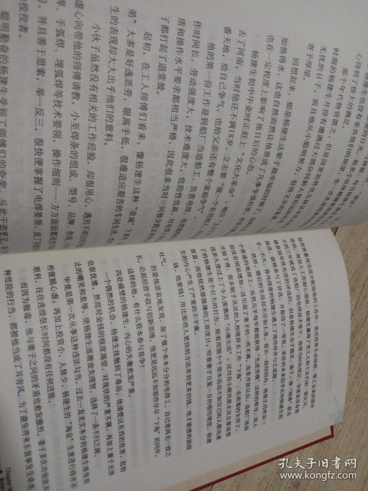 临刑会见之对话死囚   丁瑜特别访问 临刑会见15个案例光盘 2本合售