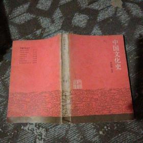 中国文化史（下册）