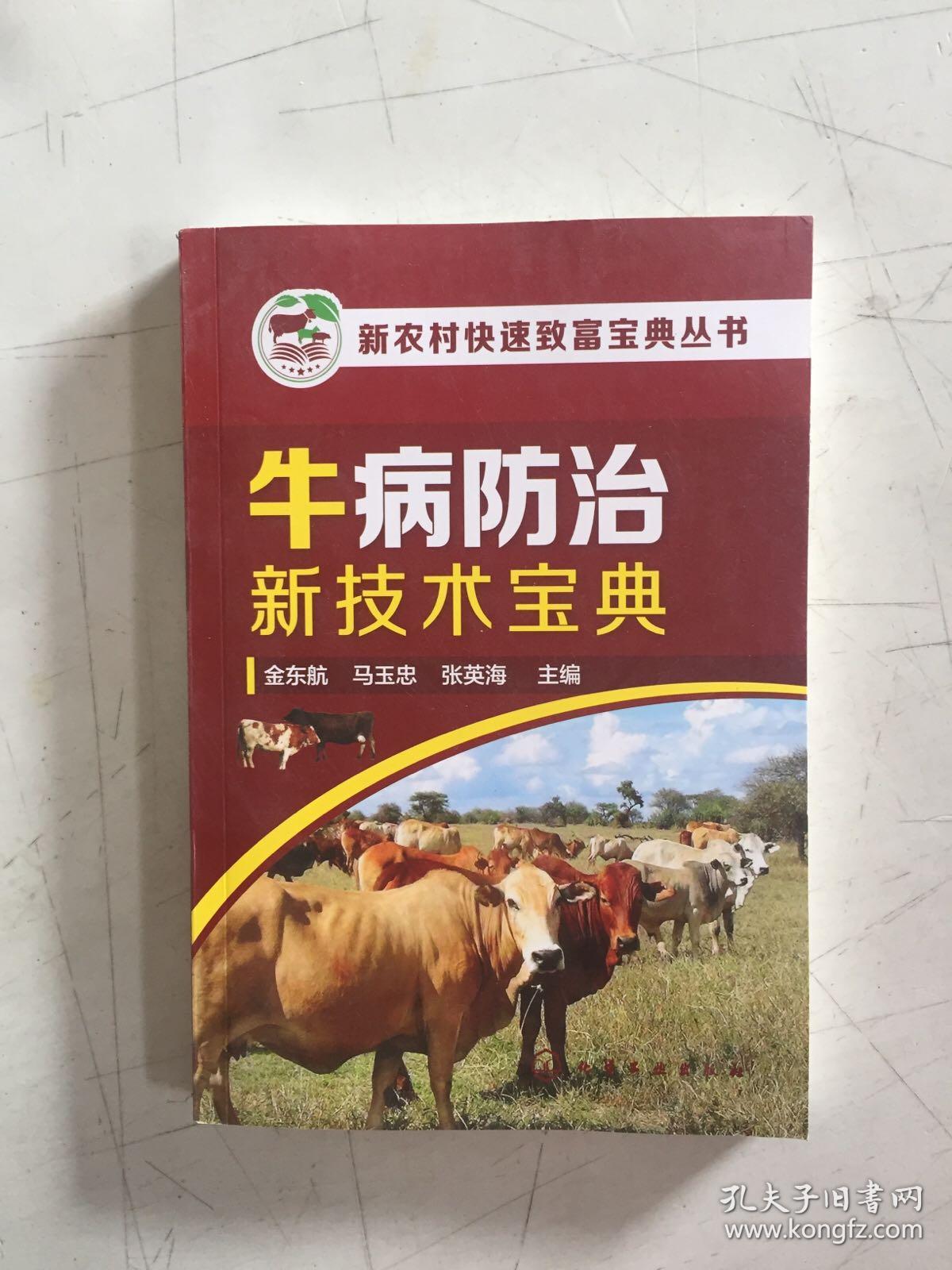 农村快速致富秘诀有哪些(农村快速致富秘诀有哪些方法)