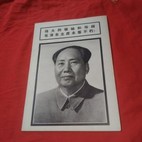 伟大的领袖和导师毛泽东主席永垂不朽  连环画报 1976  9