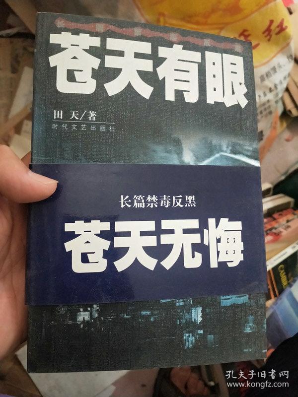 苍天有眼 田天 全两册