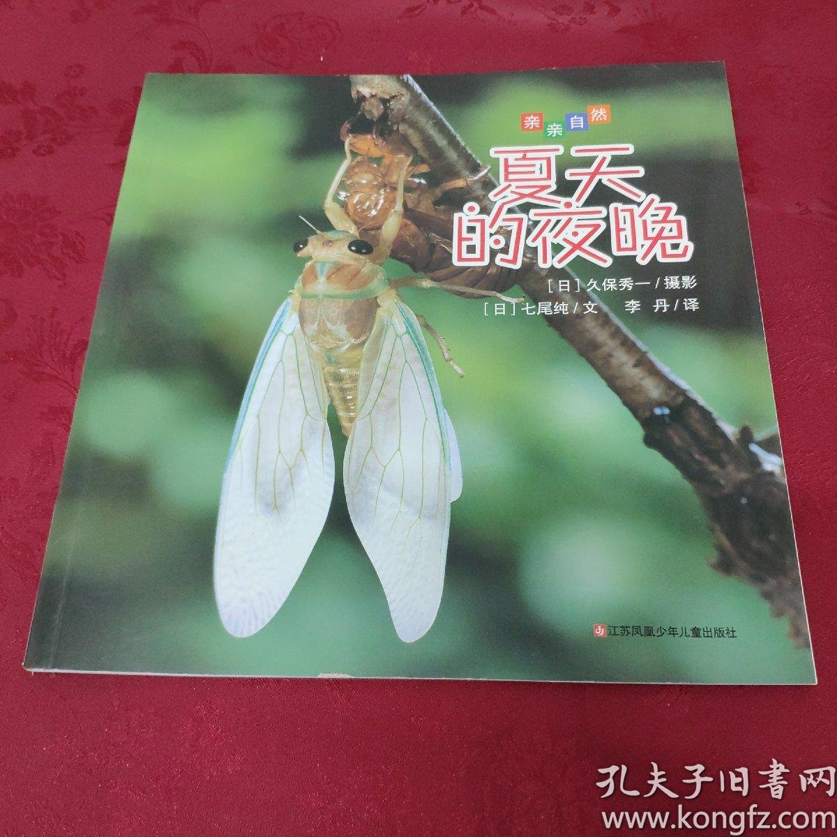 亲亲自然:夏天的夜晚