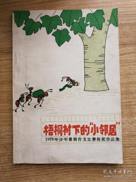 梧桐树下的小邻居