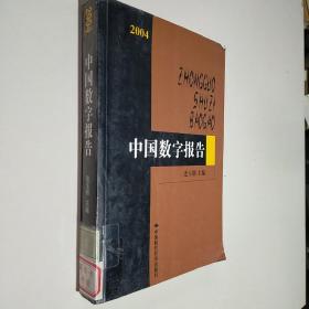 2004中国数字报告