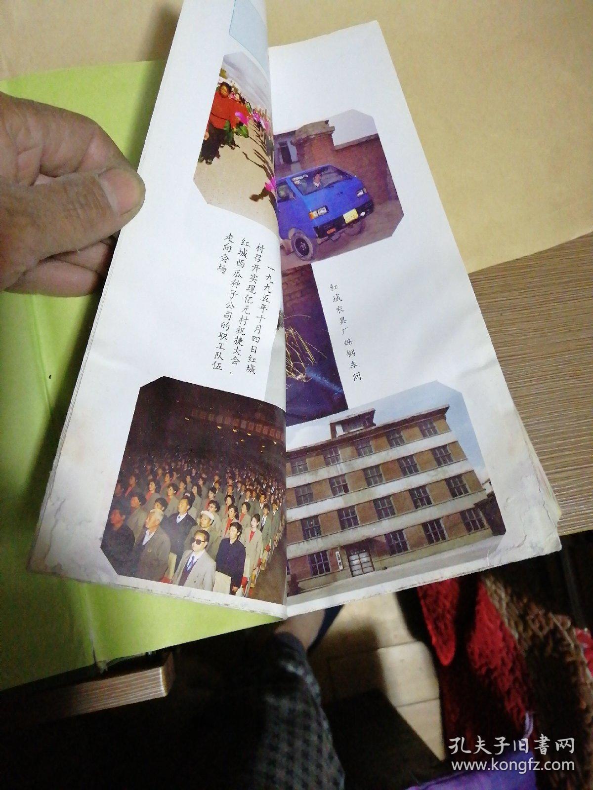 红城村志精装16开看描述