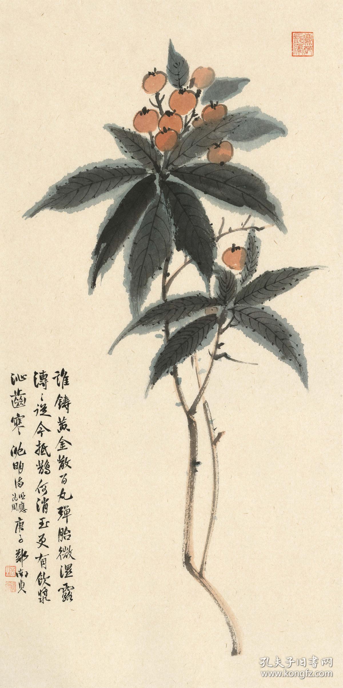 郑南贞《枇杷 69x34cm