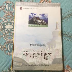藏族历史WG（臧文版，中央民族大学国家“十五”“211”建设项目）