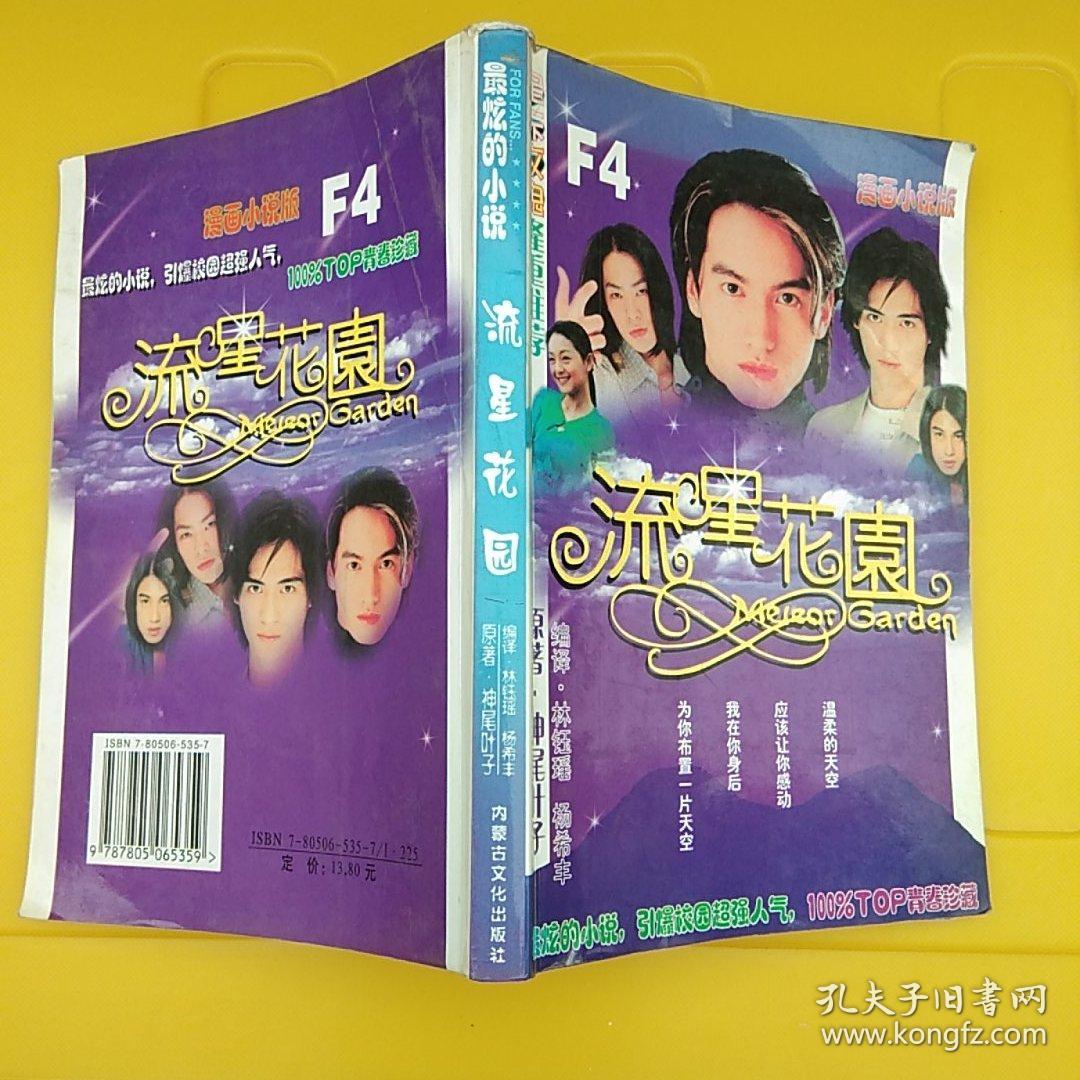 流星花园漫画小说版 孔夫子旧书网