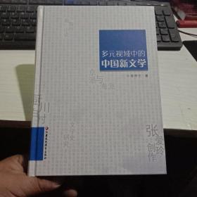 多元视域中的中国新文学