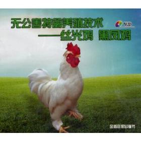 无公害特禽养殖技术·丝光鸡  黑凤鸡